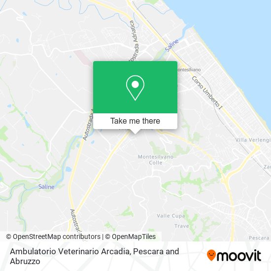 Ambulatorio Veterinario Arcadia map