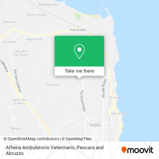 Athena Ambulatorio Veterinario map