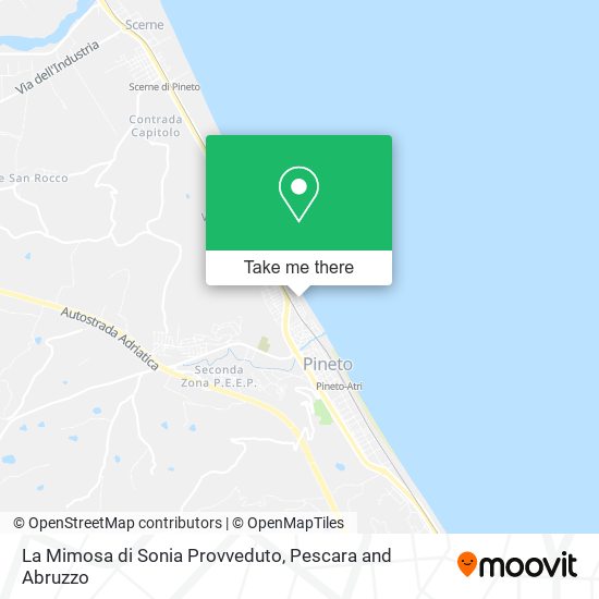 La Mimosa di Sonia Provveduto map