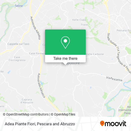 Adea Piante Fiori map