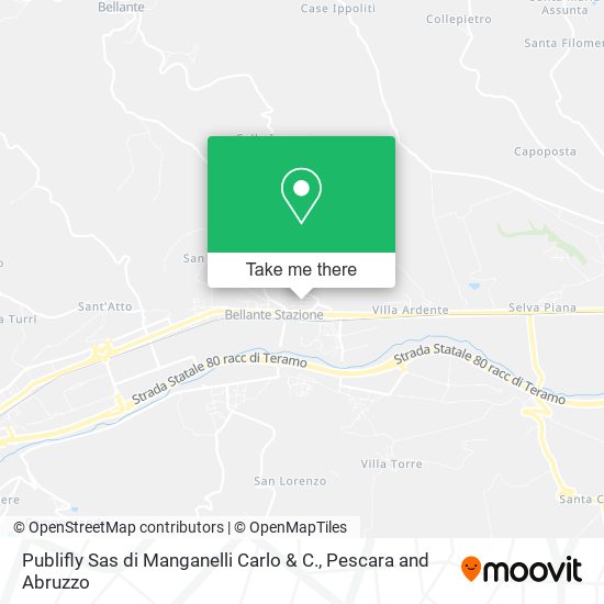 Publifly Sas di Manganelli Carlo & C. map