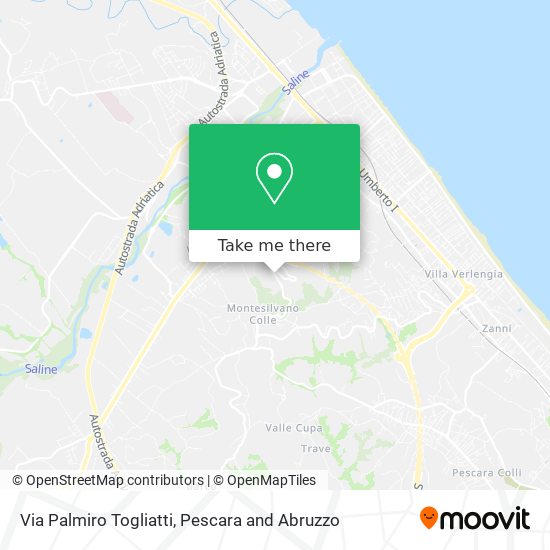 Via Palmiro Togliatti map
