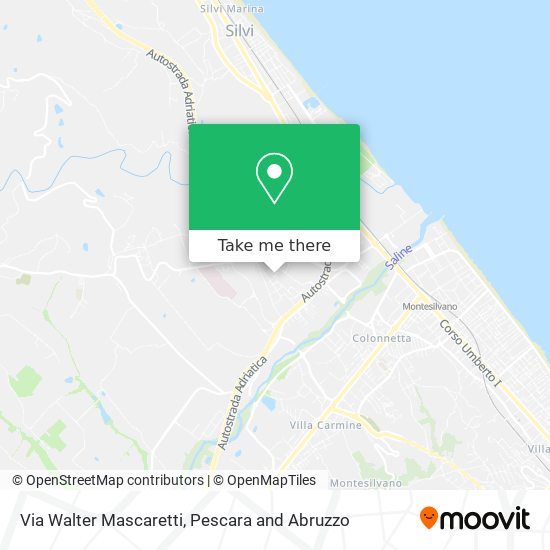 Via Walter Mascaretti map