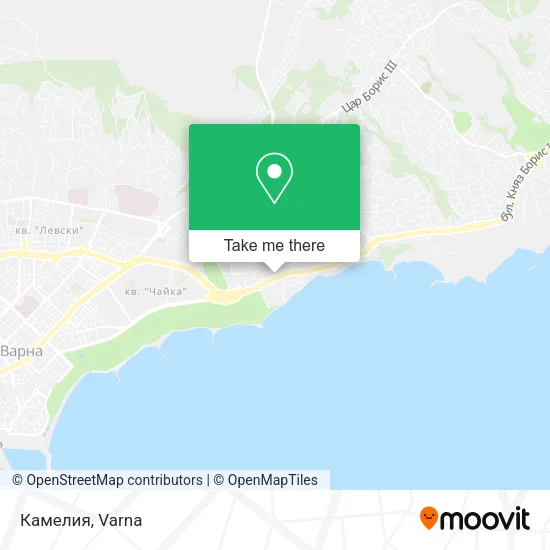 Карта Камелия