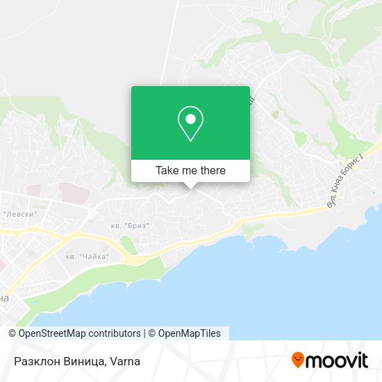 Разклон Виница map