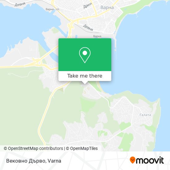 Вековно Дърво map