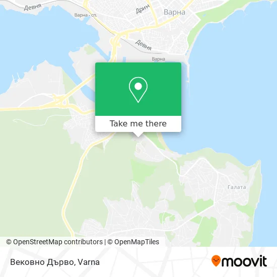 Карта Вековно Дърво