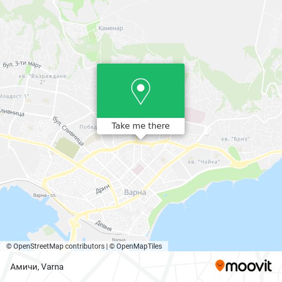 Амичи map