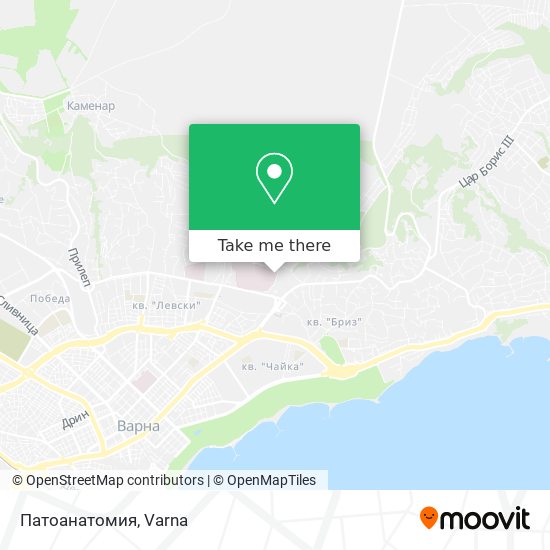 Патоанатомия map