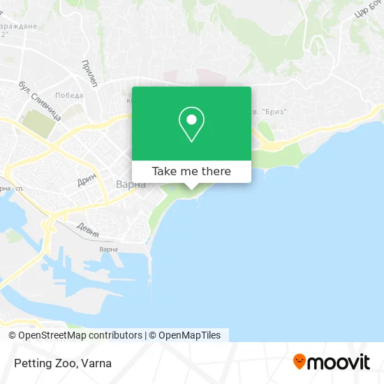 Карта Petting Zoo