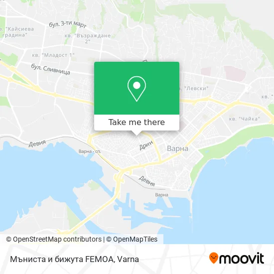 Карта Мъниста и бижута FEMOA