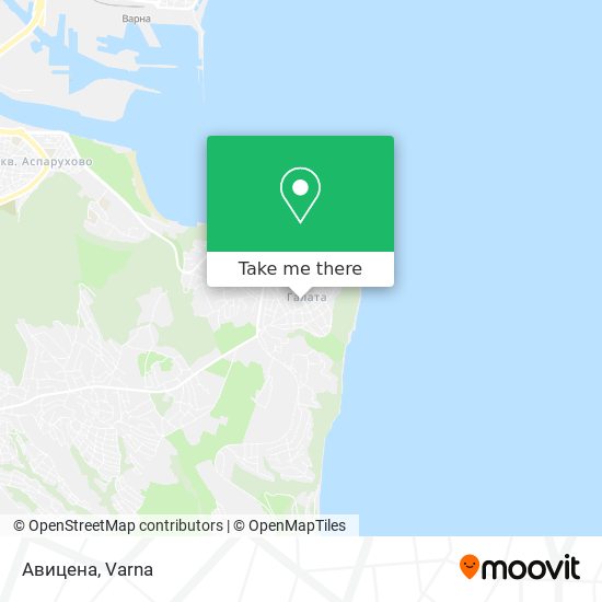 Авицена map