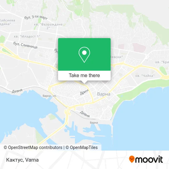 Карта Кактус