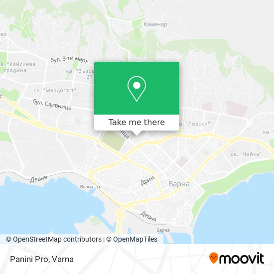 Карта Panini Pro