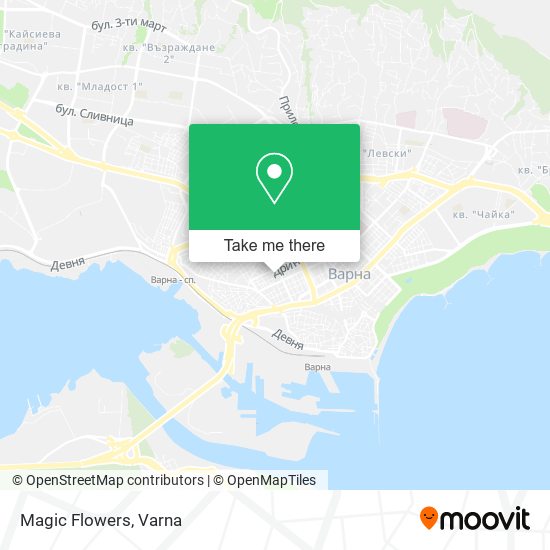 Magic Flowers map