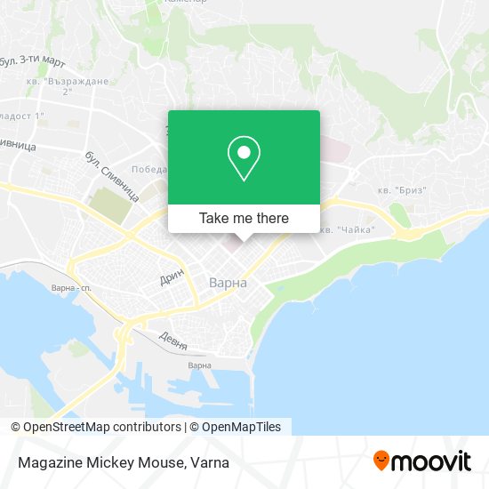 Magazine Mickey Mouse map