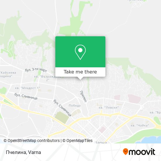 Пчелина map