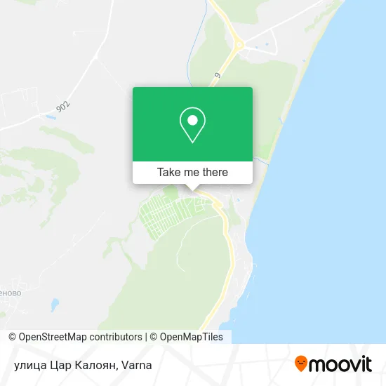 Карта улица Цар Калоян