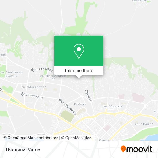 Пчелина map