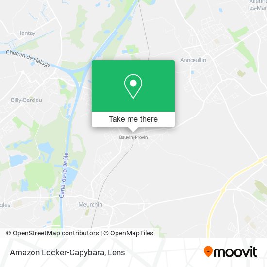 Amazon Locker-Capybara map