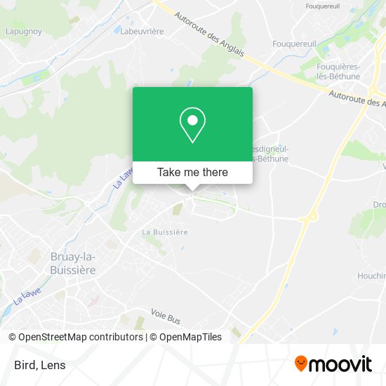 Bird map