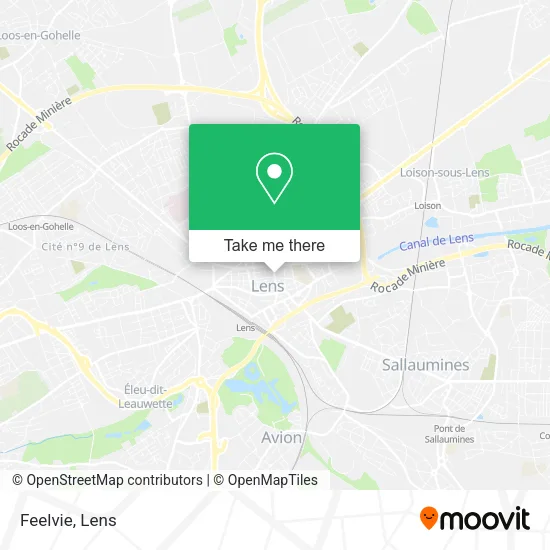 Feelvie map