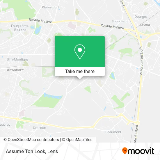 Assume Ton Look map