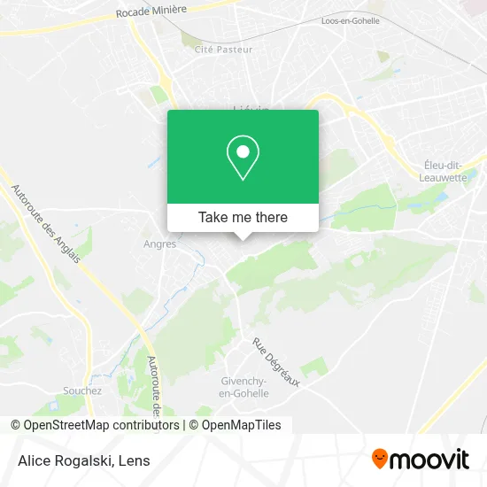 Alice Rogalski map