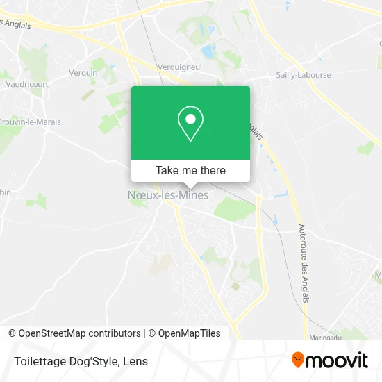 Toilettage Dog'Style map
