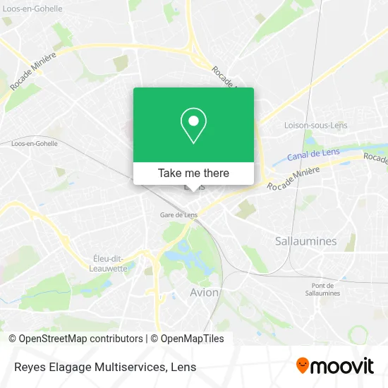 Reyes Elagage Multiservices map