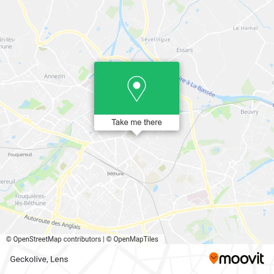 Geckolive map