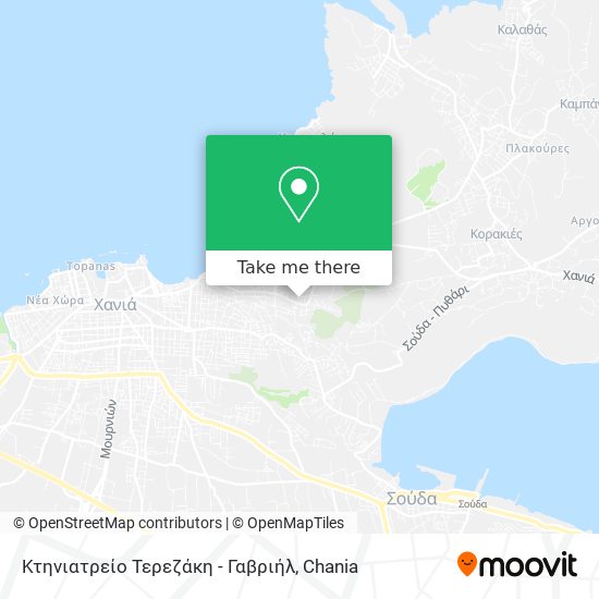 Κτηνιατρείο Τερεζάκη - Γαβριήλ map