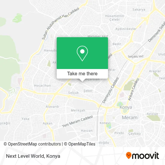 Next Level World map