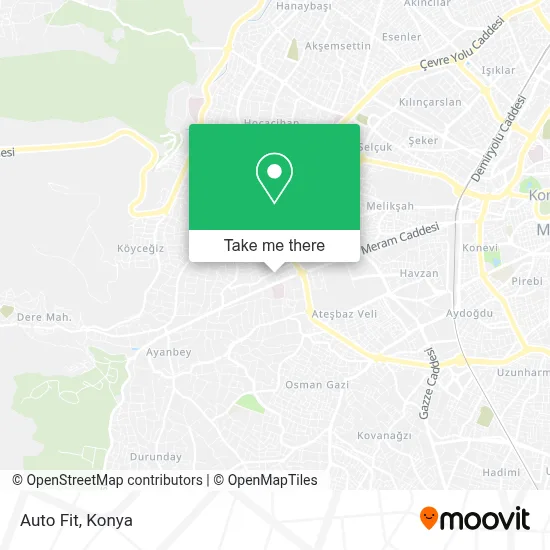 Auto Fit map