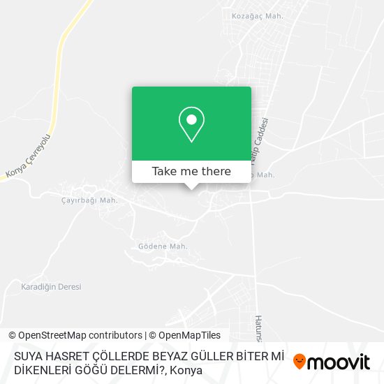 SUYA HASRET ÇÖLLERDE BEYAZ GÜLLER BİTER Mİ DİKENLERİ GÖĞÜ DELERMİ? map