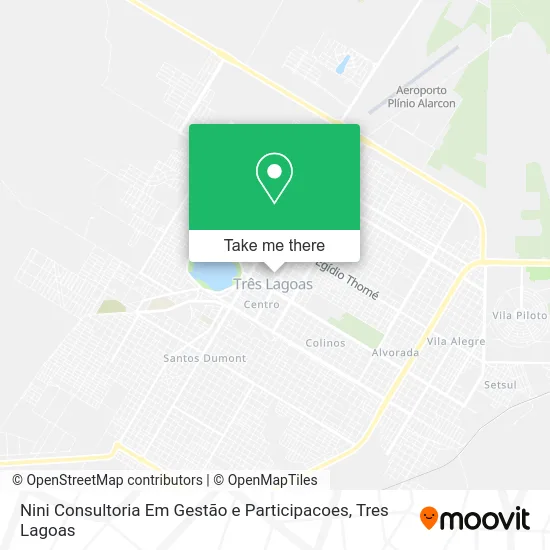 Nini Consultoria Em Gestão e Participacoes map