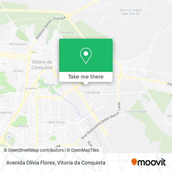 Mapa Avenida Olívia Flores