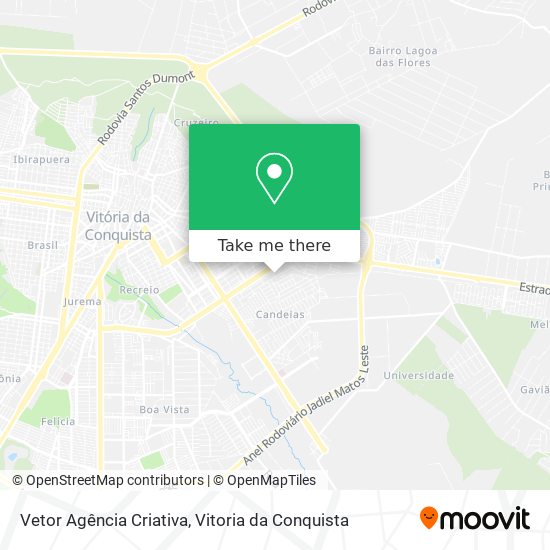 Vetor Agência Criativa map