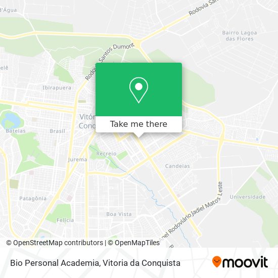 Bio Personal Academia map