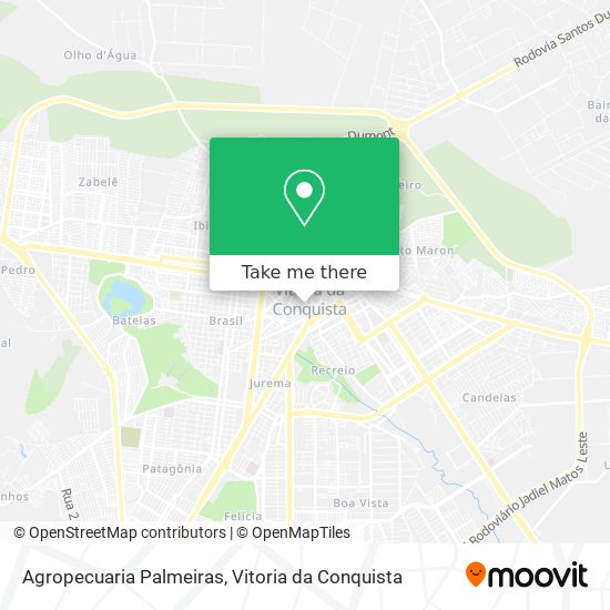 Agropecuaria Palmeiras map