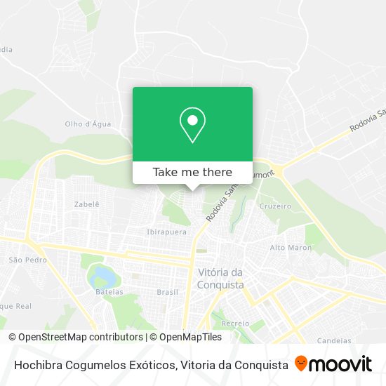 Hochibra Cogumelos Exóticos map