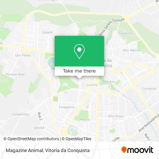 Magazine Animal map