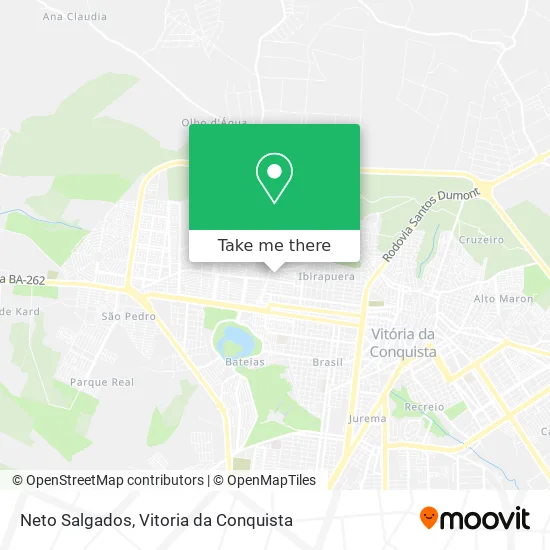 Neto Salgados map