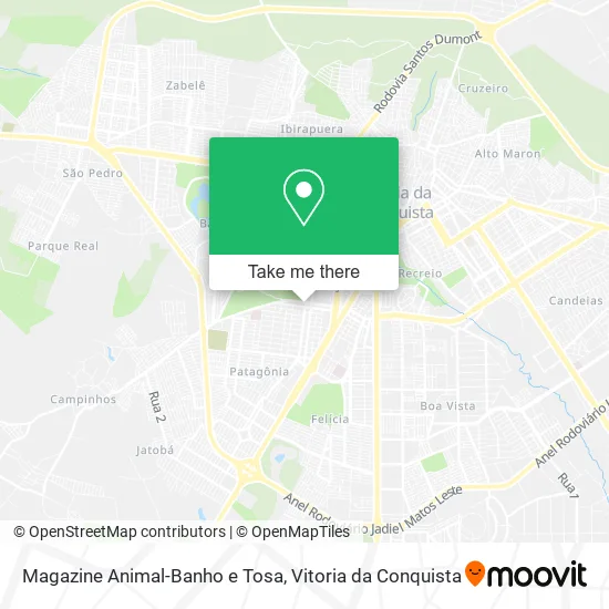 Magazine Animal-Banho e Tosa map