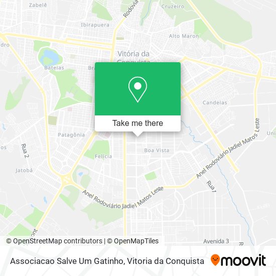 Associacao Salve Um Gatinho map