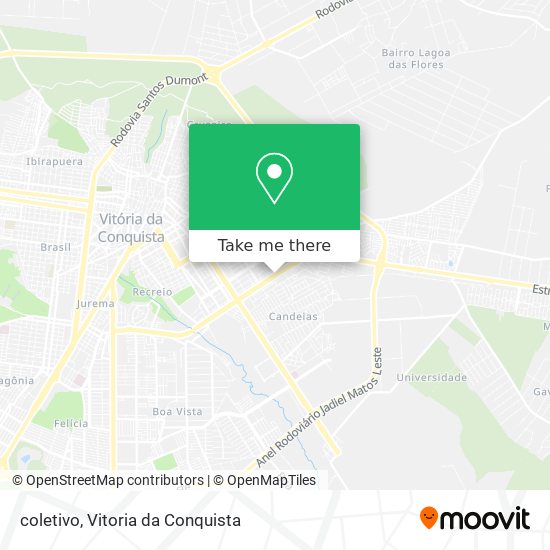 coletivo map