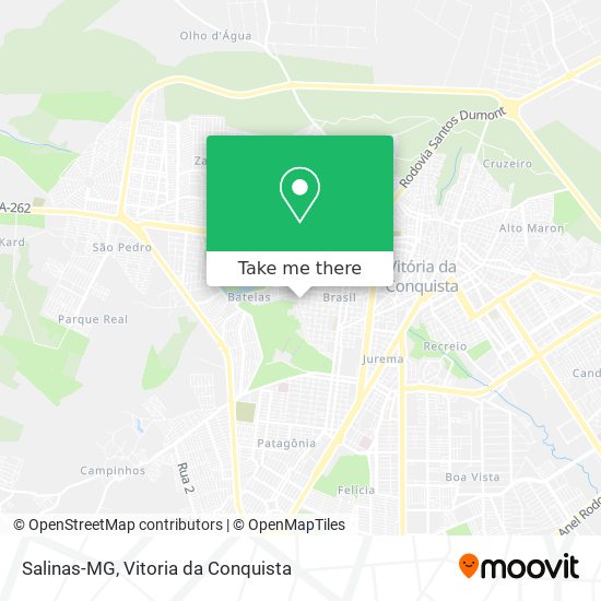 Salinas-MG map