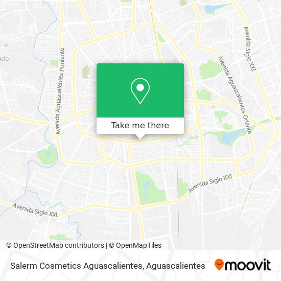 Salerm Cosmetics Aguascalientes map