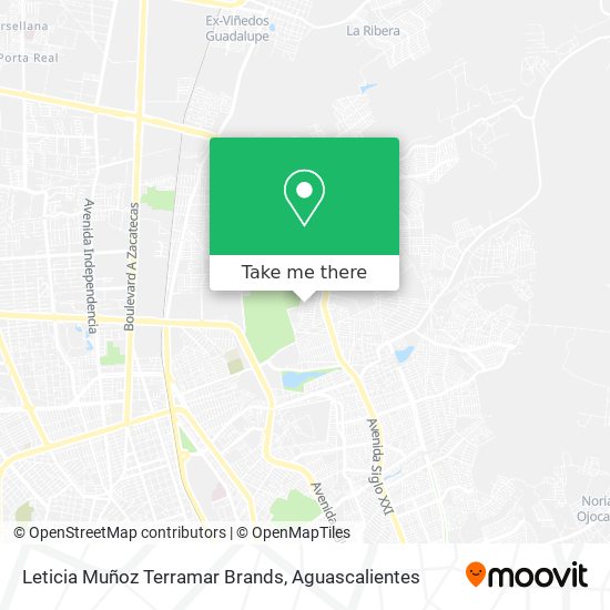 Mapa de Leticia Muñoz Terramar Brands