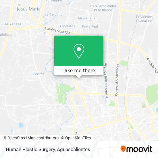 Mapa de Human Plastic Surgery